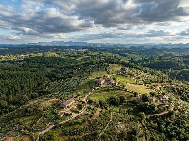 Herdade Penamacor — 180 гектаров